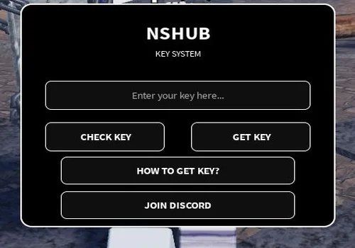 NS Hub