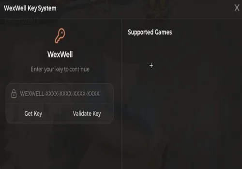 wexwell - Aim Assist Setup