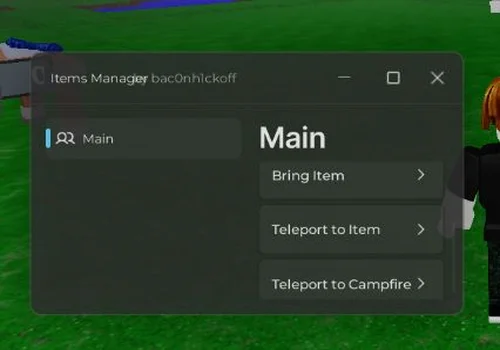 Items manager