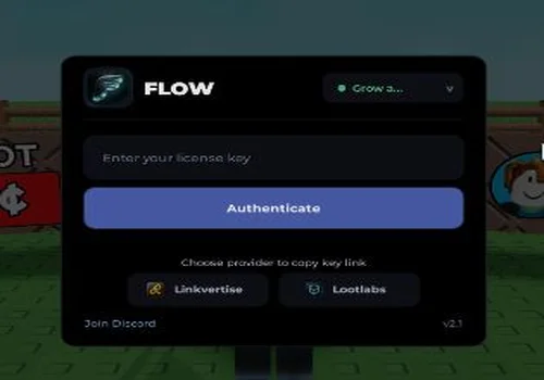 Flow
